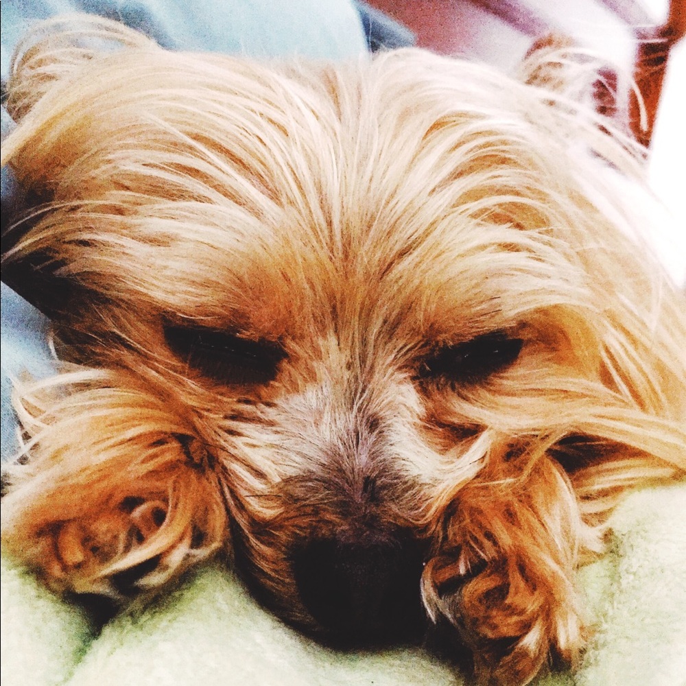 Meet your Posher, Becky